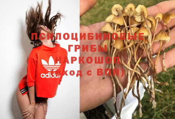 крисы Абинск