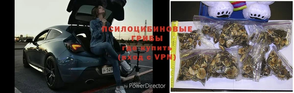 крисы Абинск